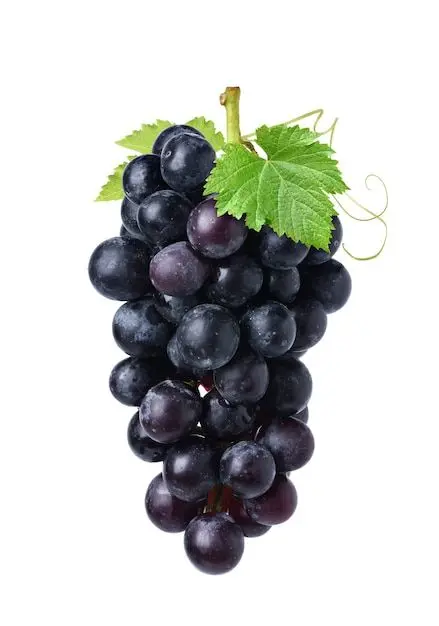 Black Grapes