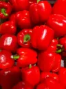 Capsicum Red