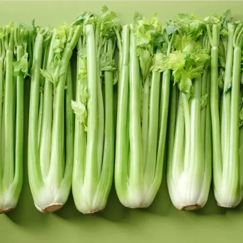 Celery
