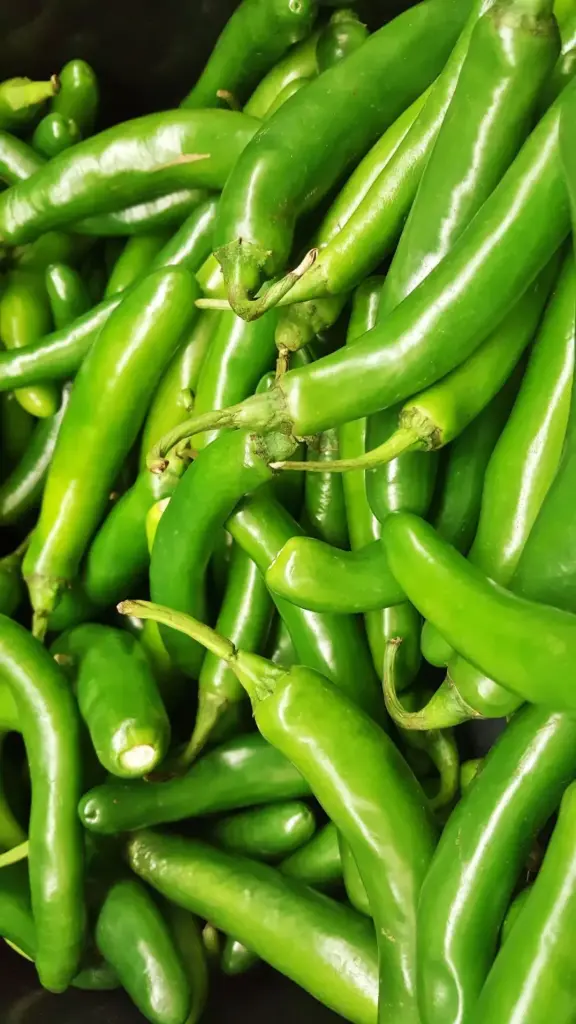 Chili Green